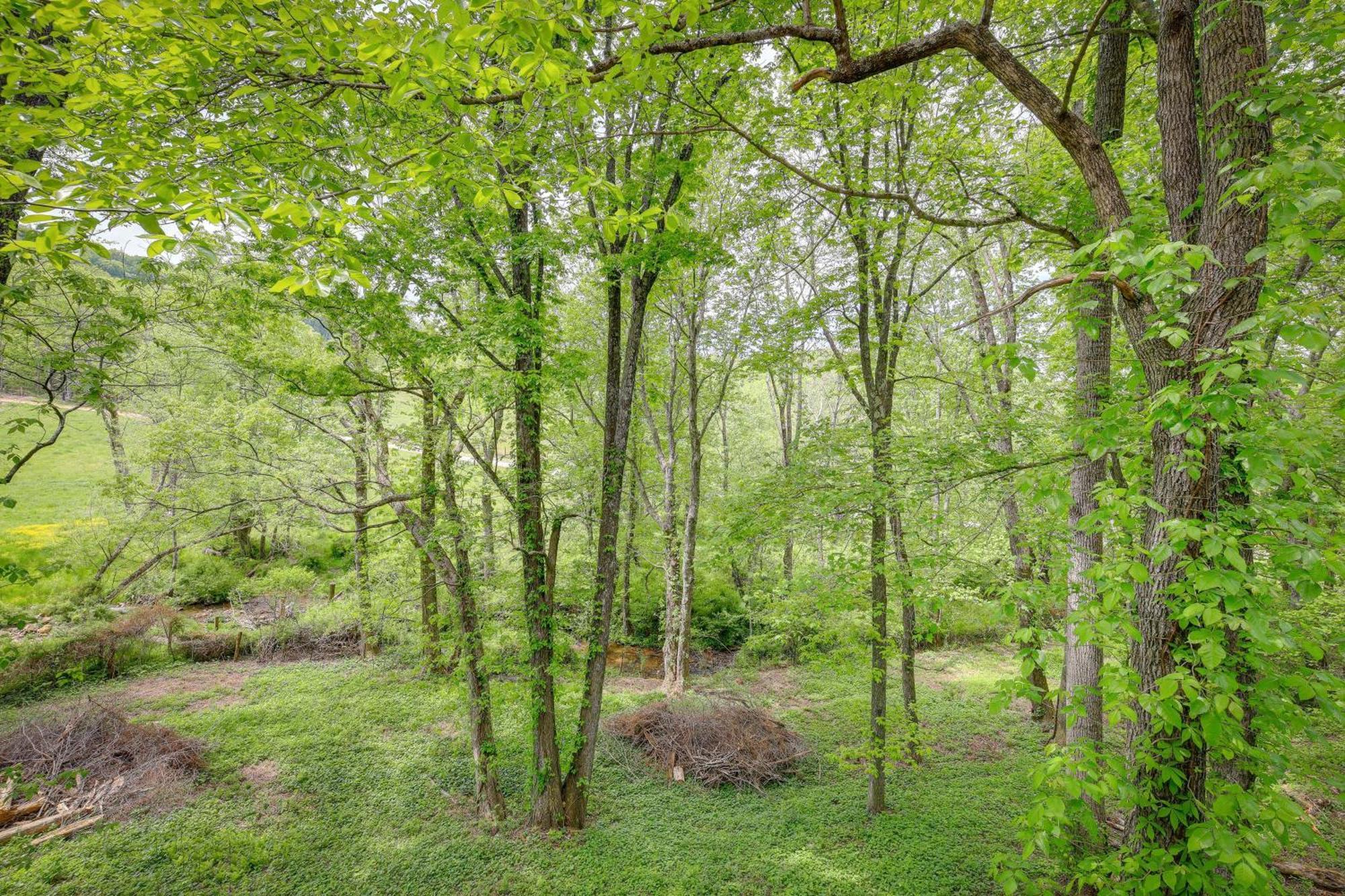 Quaint Blue Ridge Cabin Rental With On-Site Stream! Sparta Esterno foto